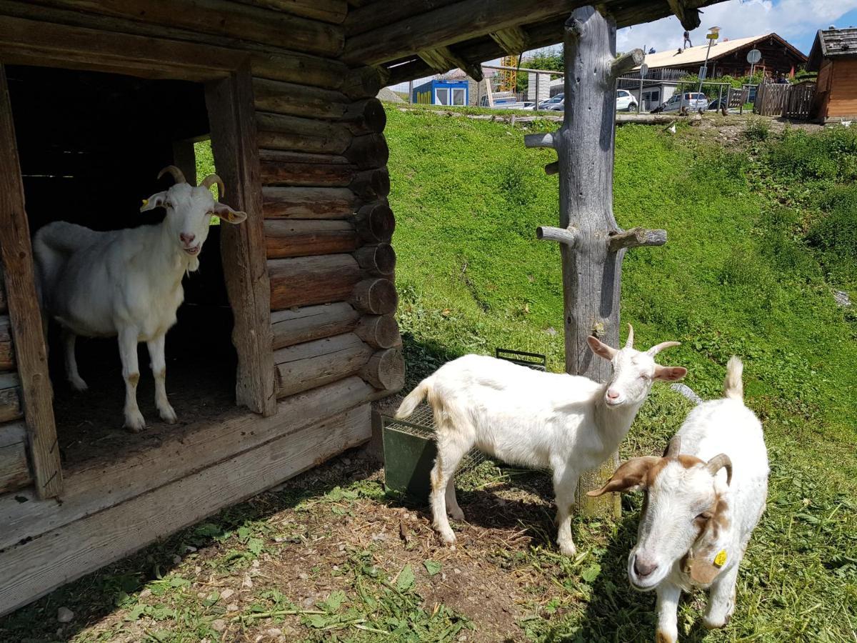 Berghotel Arthurhaus Mühlbach am Hochkönig Buitenkant foto